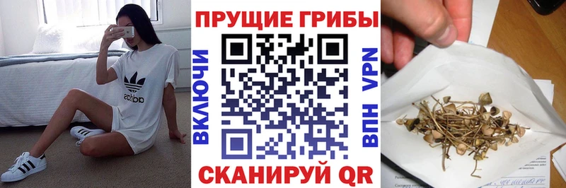 Псилоцибиновые грибы Psilocybine cubensis  блэк спрут маркетплейс  Новая Ляля 