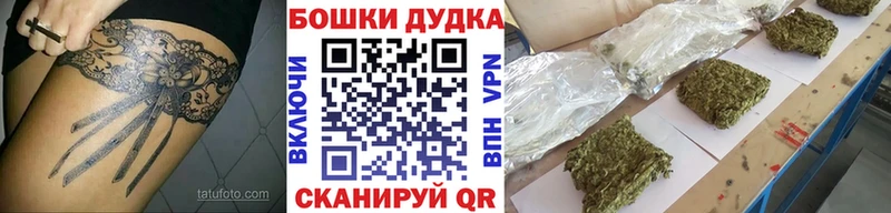 магазин    Новая Ляля  Каннабис SATIVA & INDICA 